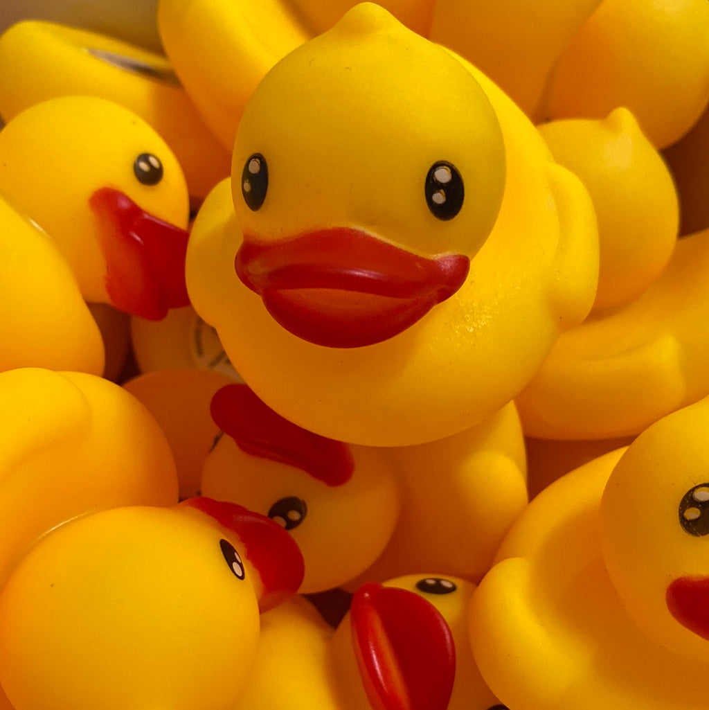 Why Rubber Ducking is One of Your Greatest Resources as a Developer, by  Katie Brouwers