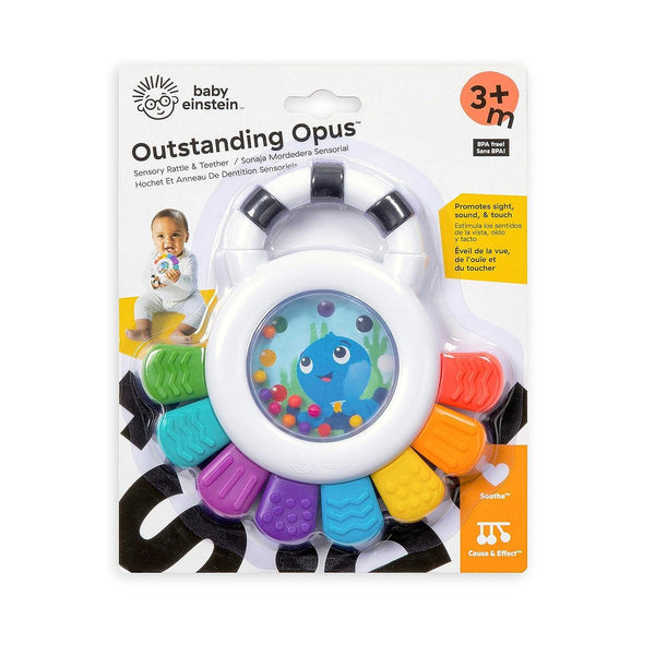 Baby Einstein - Outstanding Opus