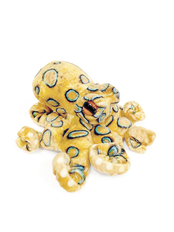 Folkmanis - Blue Ring Octopus Finger Puppet