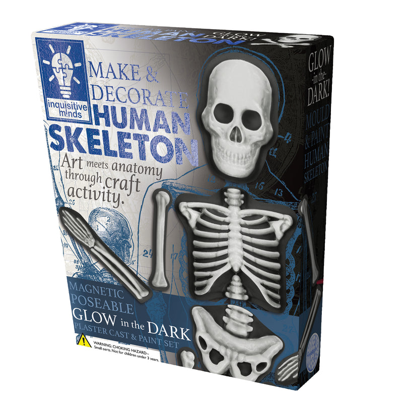 Inquisitive Minds - Make and Decorate Human Skeleton