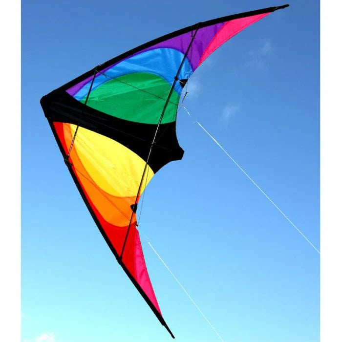 Ocean Breeze Kites - Stinger Dual Control Kite