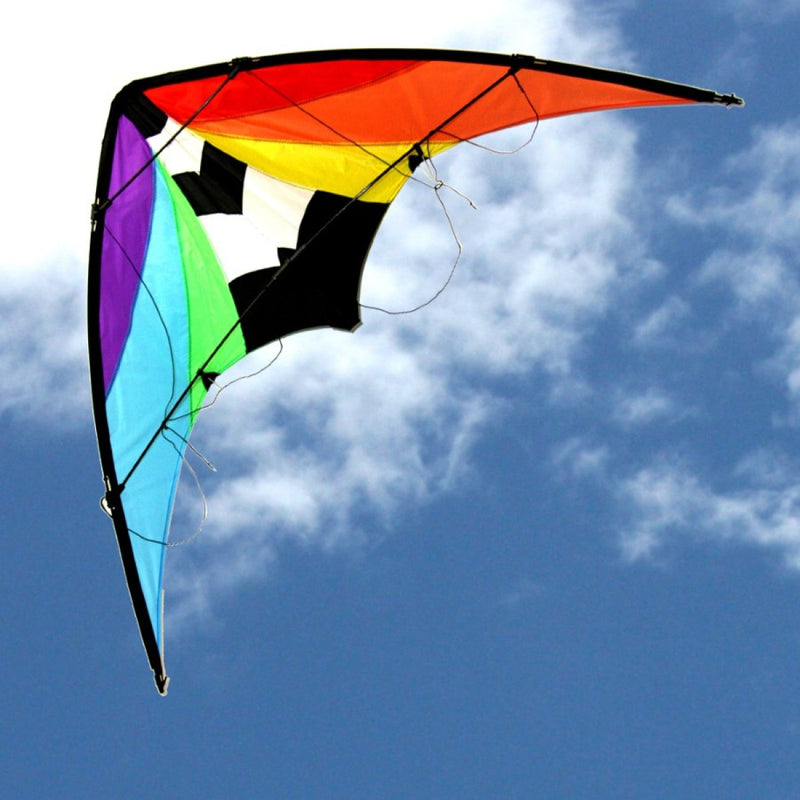 Ocean Breeze  Kites - Stuntmaster Dual Control