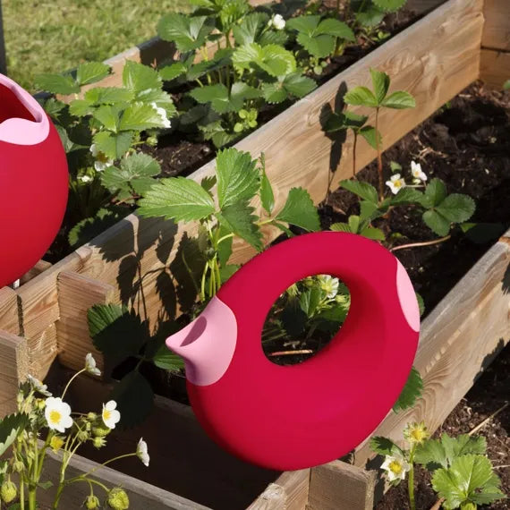 Quut - Cana Watering Can, Cherry