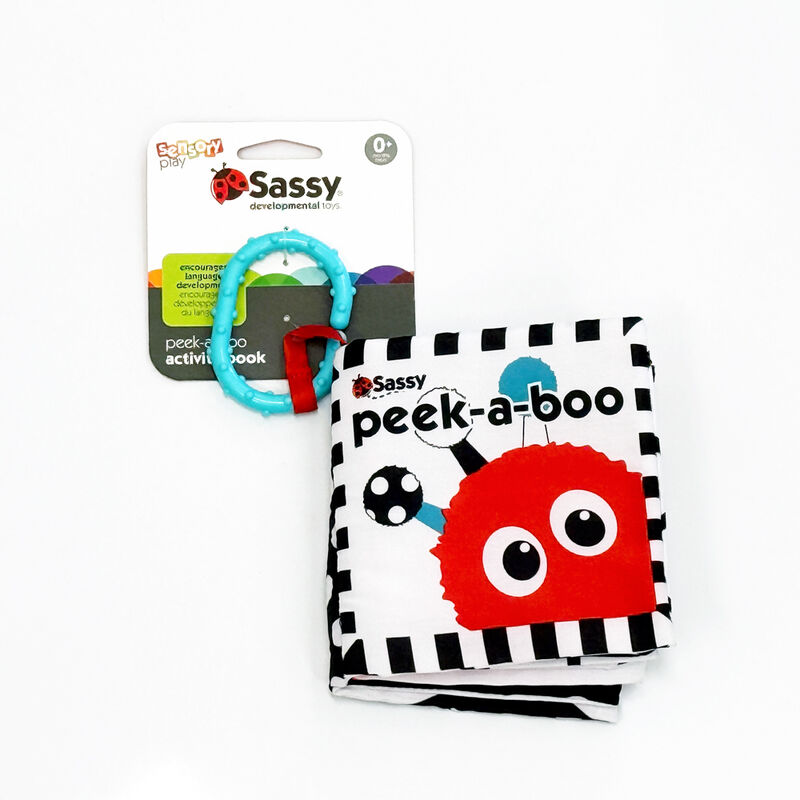 sassy baby peek a boo baby book