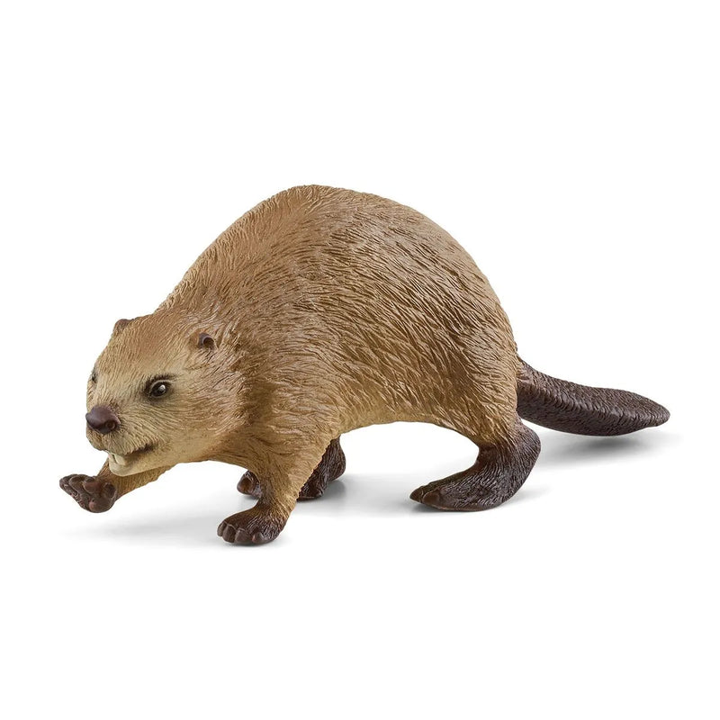 Schleich - Beaver