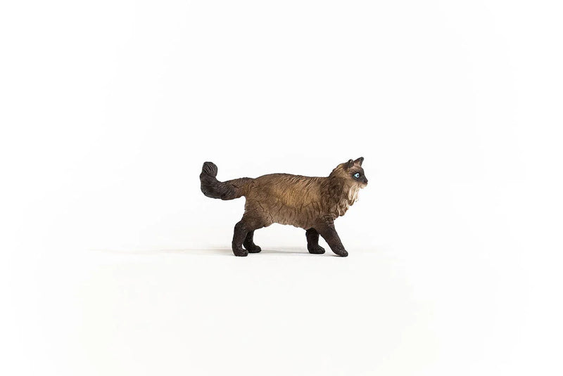 Schleich - Ragdoll Cat