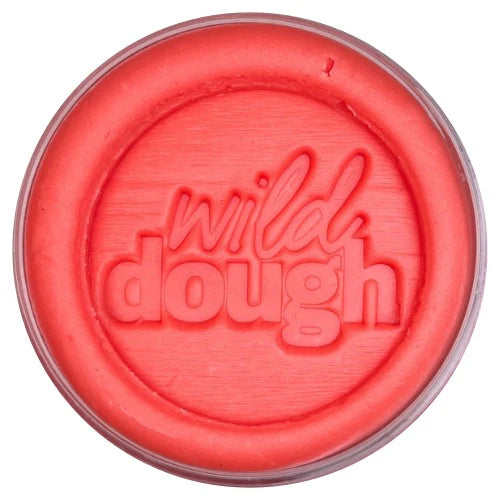 Wild Dough - Rudolph Red Playdoh Tub