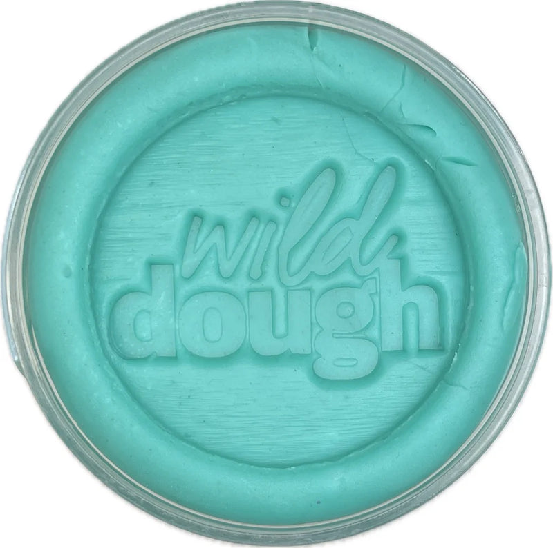 Wild Dough - Seaglass Teal Playdoh Tub