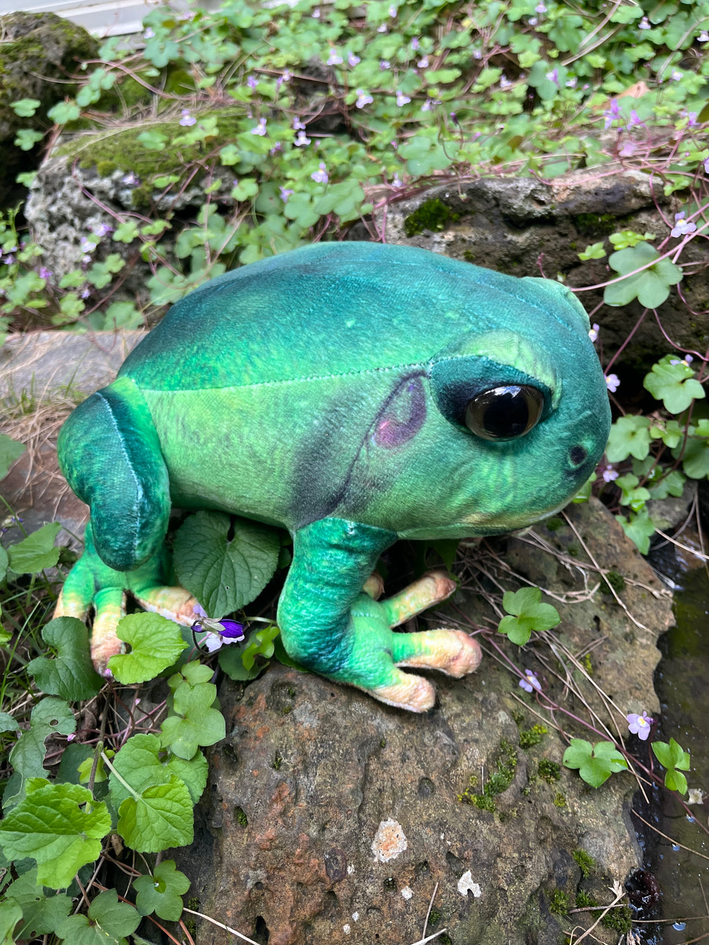 Huggable Toys | Francis Tree Frog Soft Toy | Childplay Melbourne ...