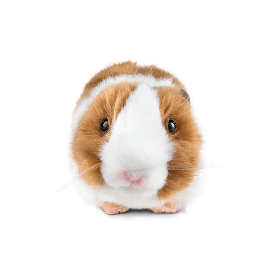 Living Nature - Brown Guinea Pig with Sound