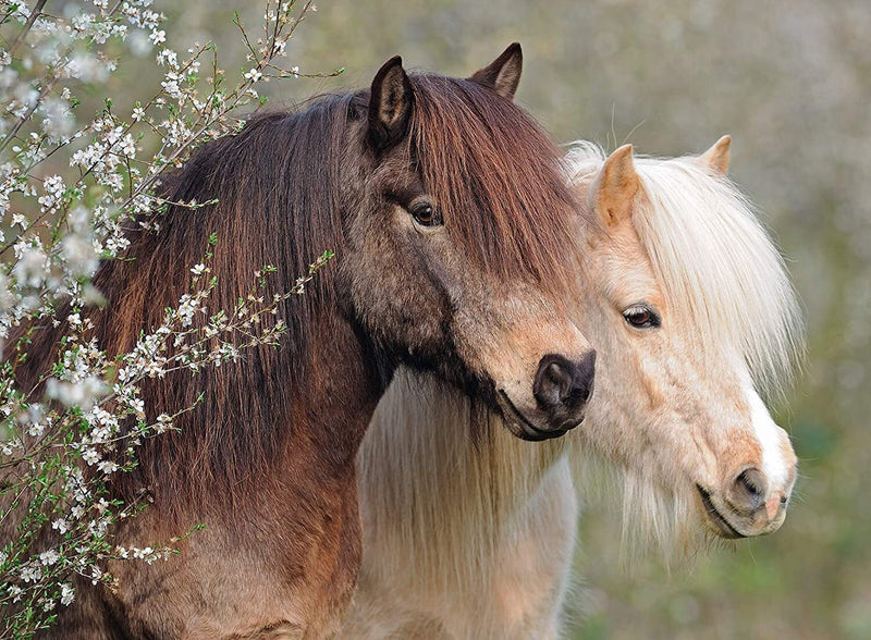 Ravensburger Puzzles- 150 Pieces, Perfect Ponies