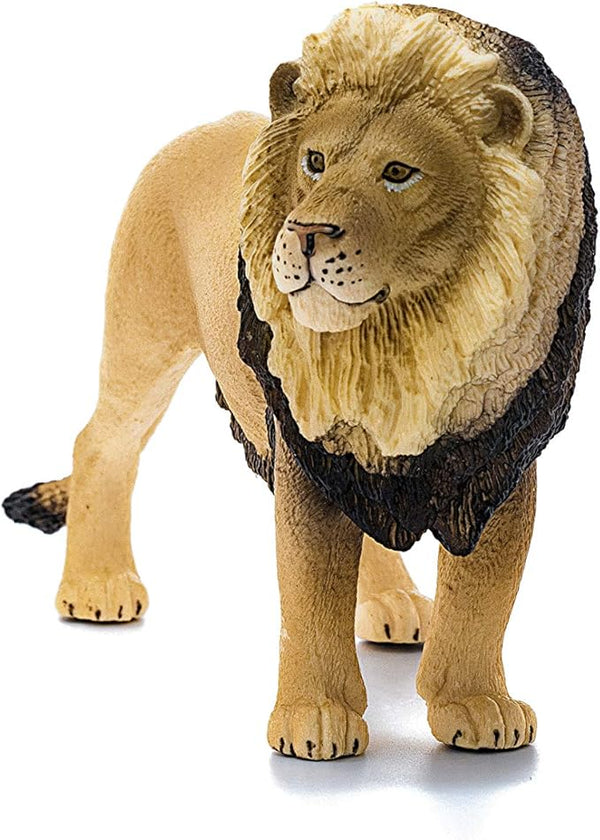 front view of the schleich lion figurine