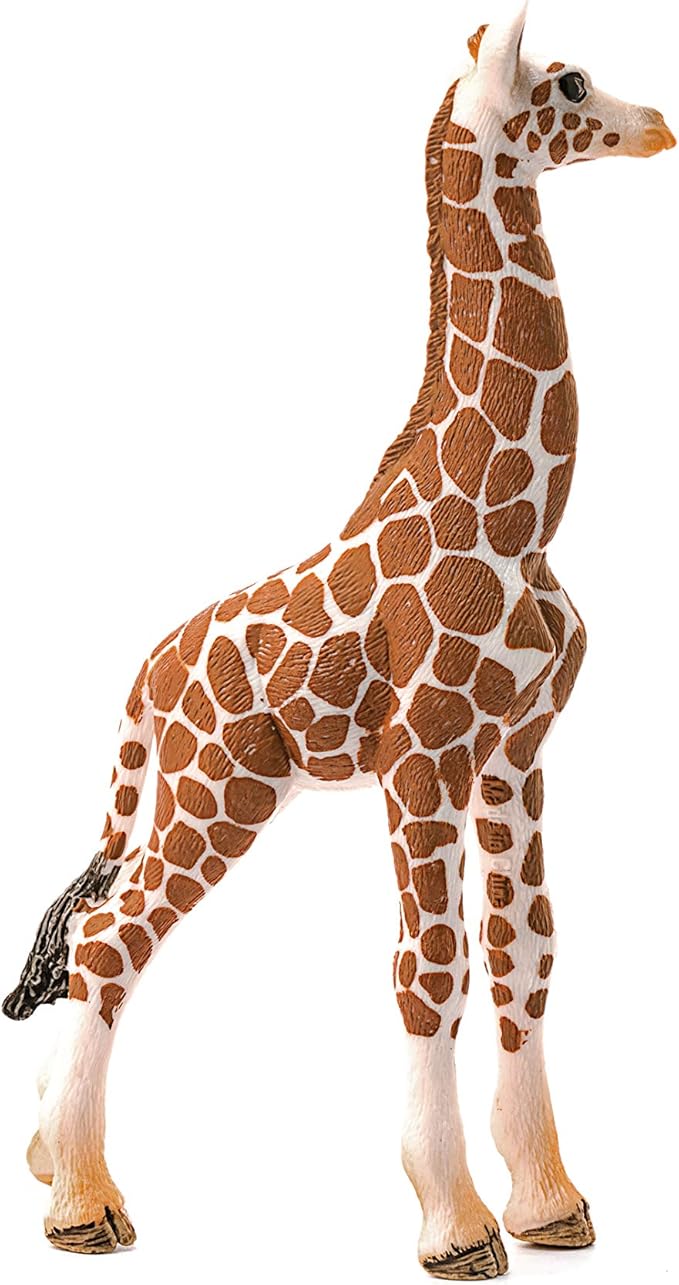 Schleich Wild Life -  Giraffe Calf