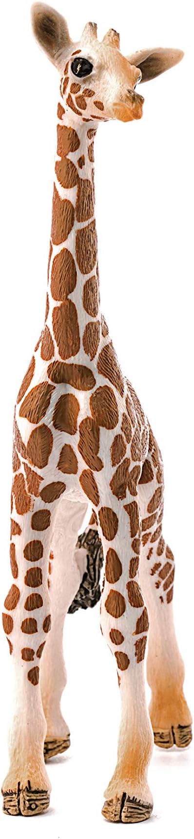 Schleich Wild Life -  Giraffe Calf