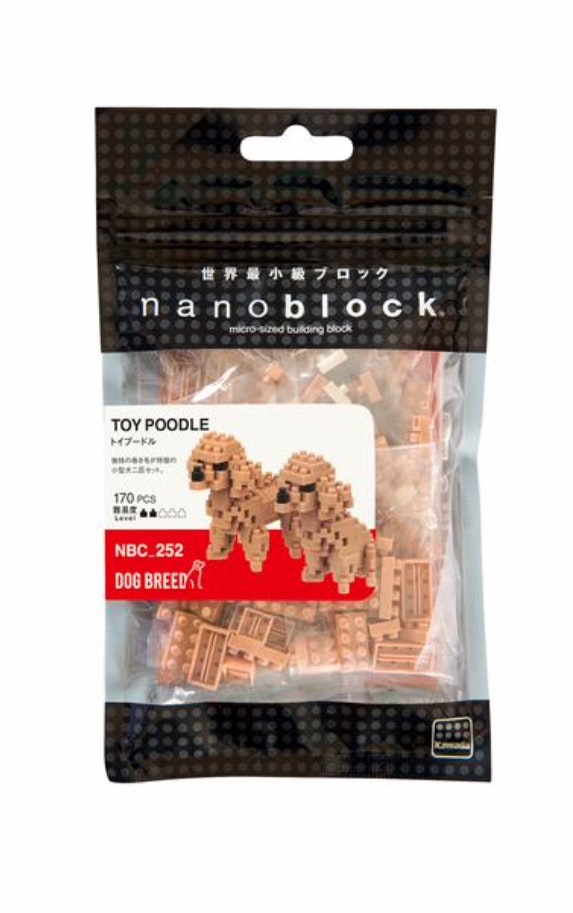 Toy Poodles in tan