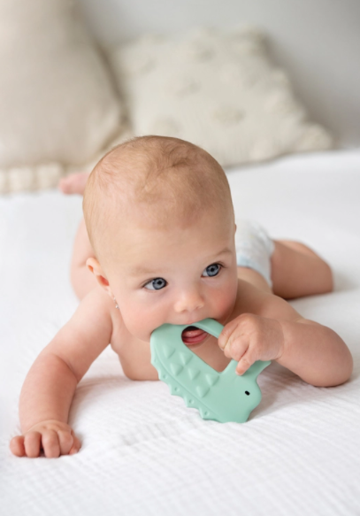 Tikiri - Crocodile Teether