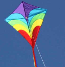 Windspeed Kites  - Waves Diamond