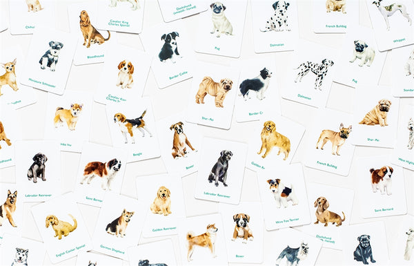 Dogs & Puppies - A Memory Game