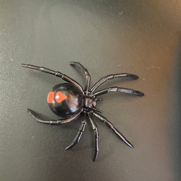 Spider - Redback