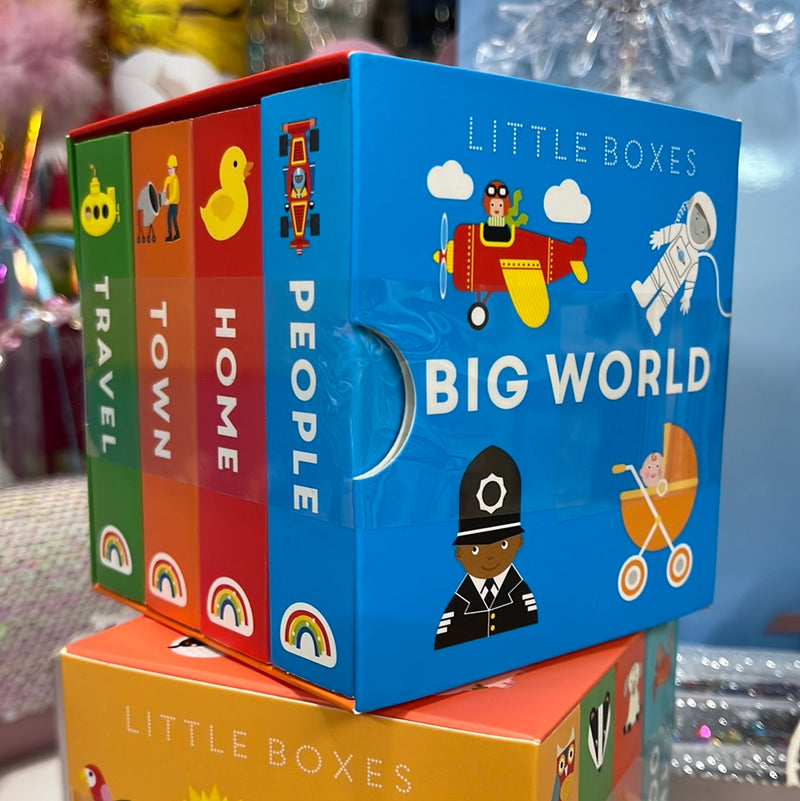 Really Decent Books  - Little Boxes Big World