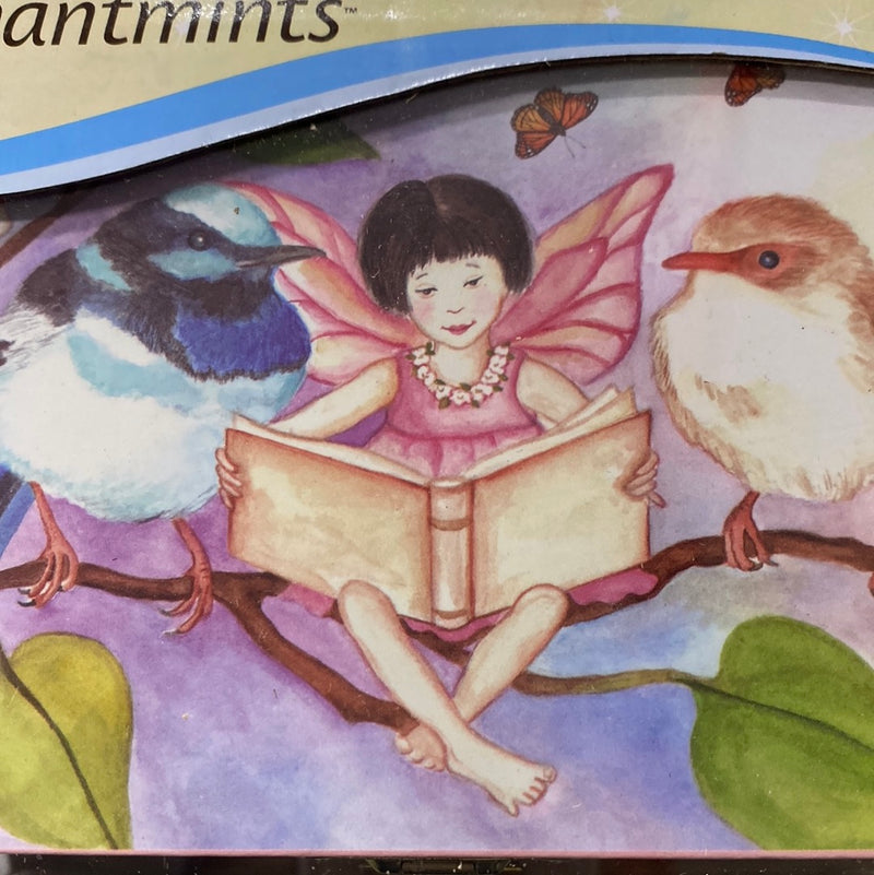 Enchantments Music Box Sweet Fairy Wrens