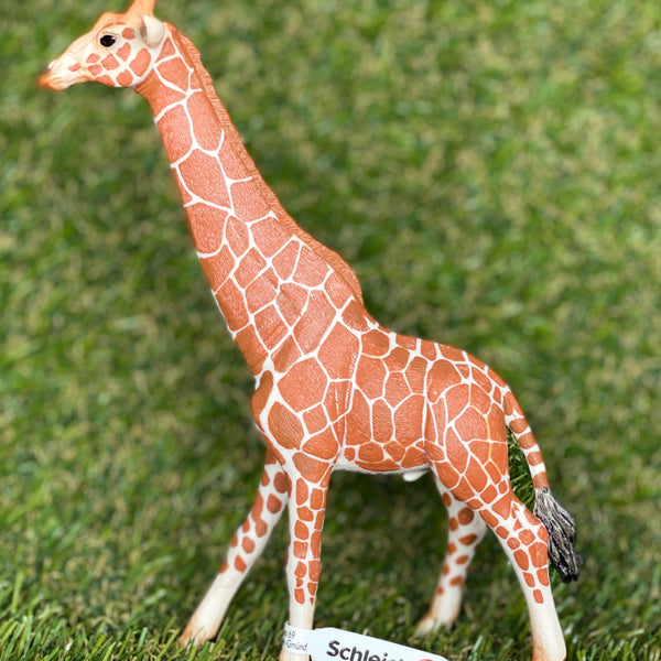 Schleich best sale baby giraffe